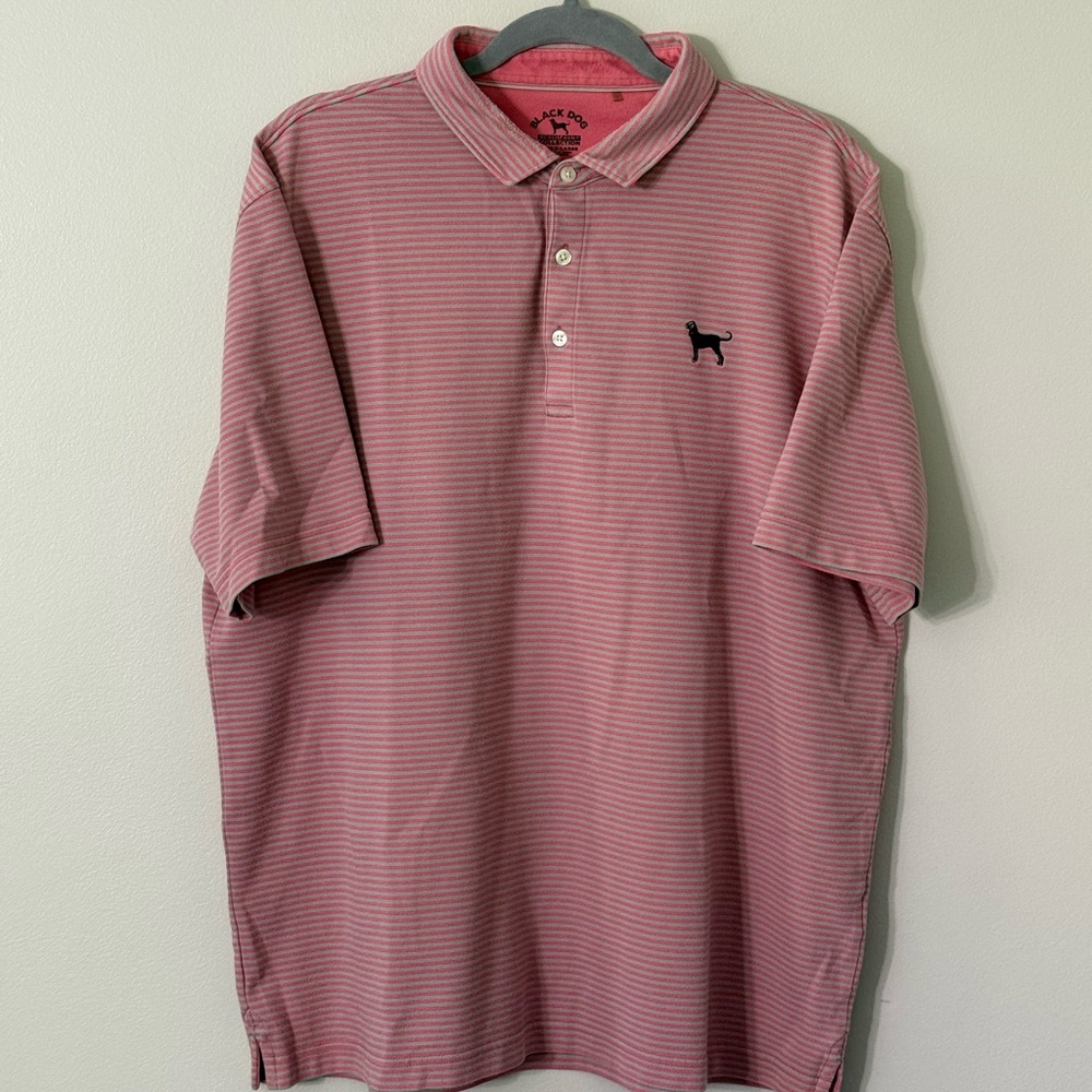 Big Dog Pink/Grey Striped Polo Shirt with Classic Collar and Relaxed Fit